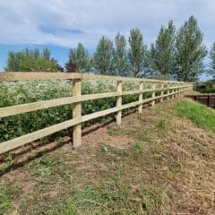 A wooden fence bordering a lush, green field filled with white flowers and tall trees under a partly cloudy sky. The grassy area nearby slopes gently, adding depth to the scenic landscape.