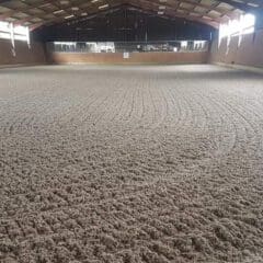 Indoor horse riding arena with a freshly groomed sandy surface. The large, covered space has wooden walls and a high arched ceiling with natural light coming in from side windows.