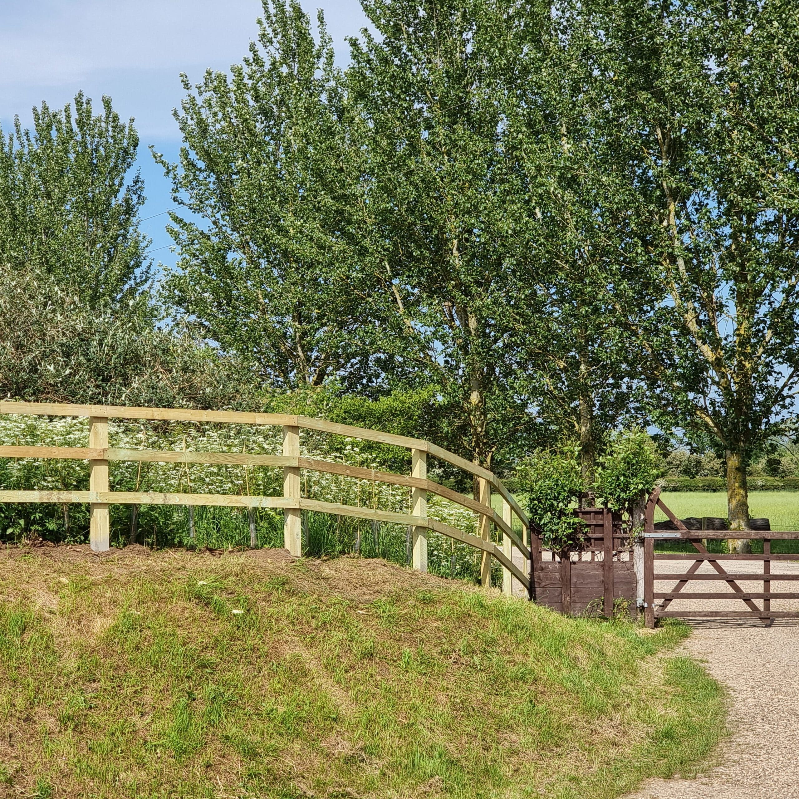 A gravel path leads to a wooden fence and an open gate, bordered by lush green grass and tall leafy trees under a blue sky.