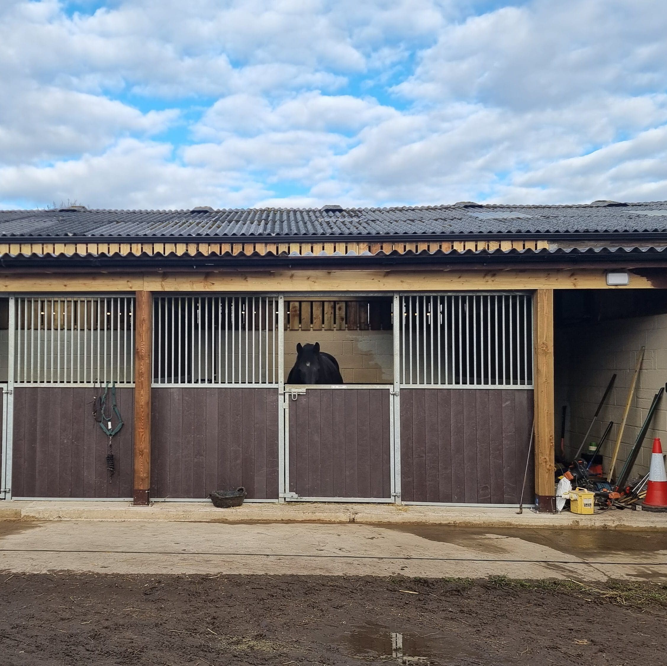 A black horse standing in a stall inside a stable with a gray concrete floor. Various tools and a traffic cone are on the ground outside. The sky is cloudy with patches of blue.