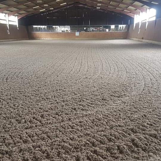 Indoor horse arena featuring freshly groomed sandy surface with visible rake patterns. The area is enclosed, with wooden walls and high ceiling beams. Sunlight filters through small windows along the sides.